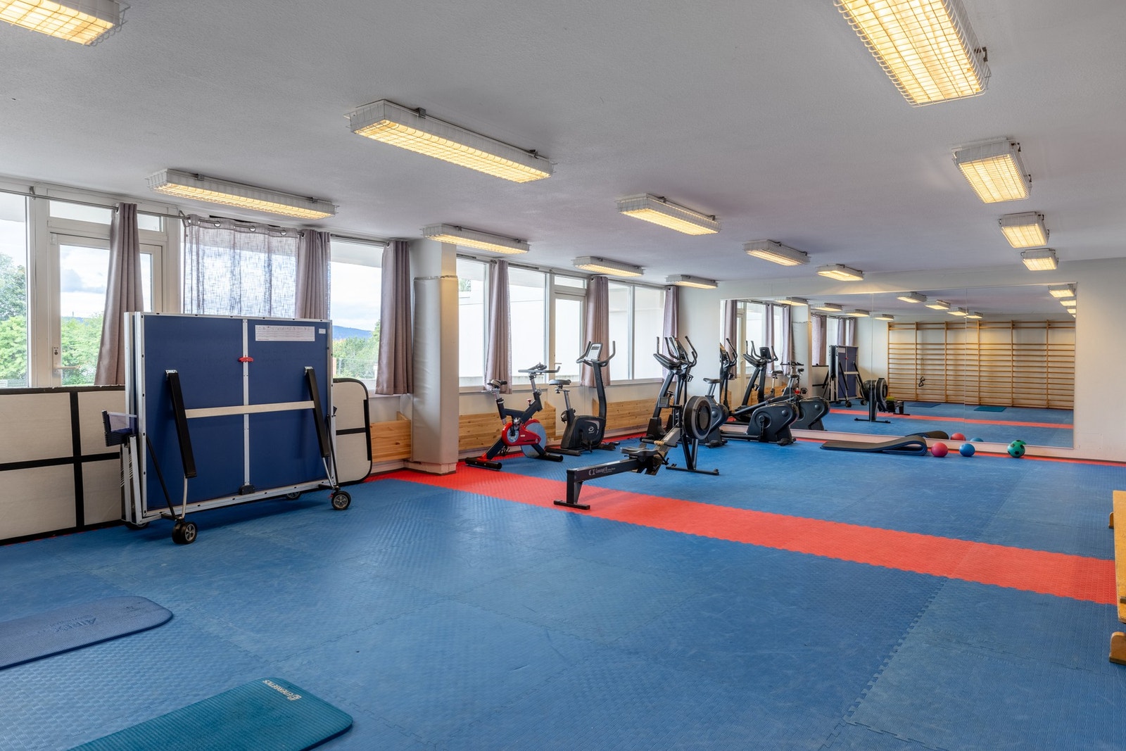 Felles trimrom Galleribilde