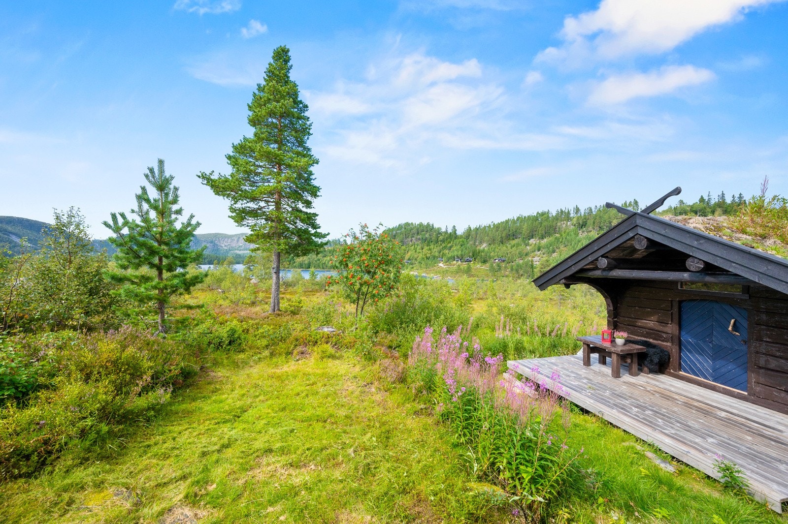 Hyggelig eiertomt tilrettelagt for lek og morro. Galleribilde