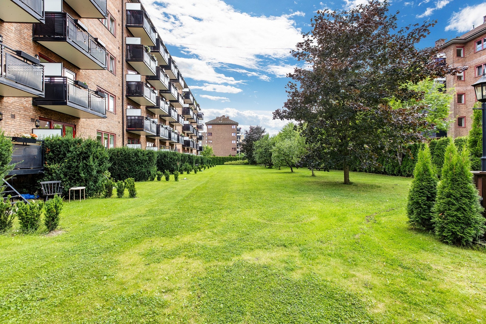 Det er store grøntområder i nærområdet. Galleribilde