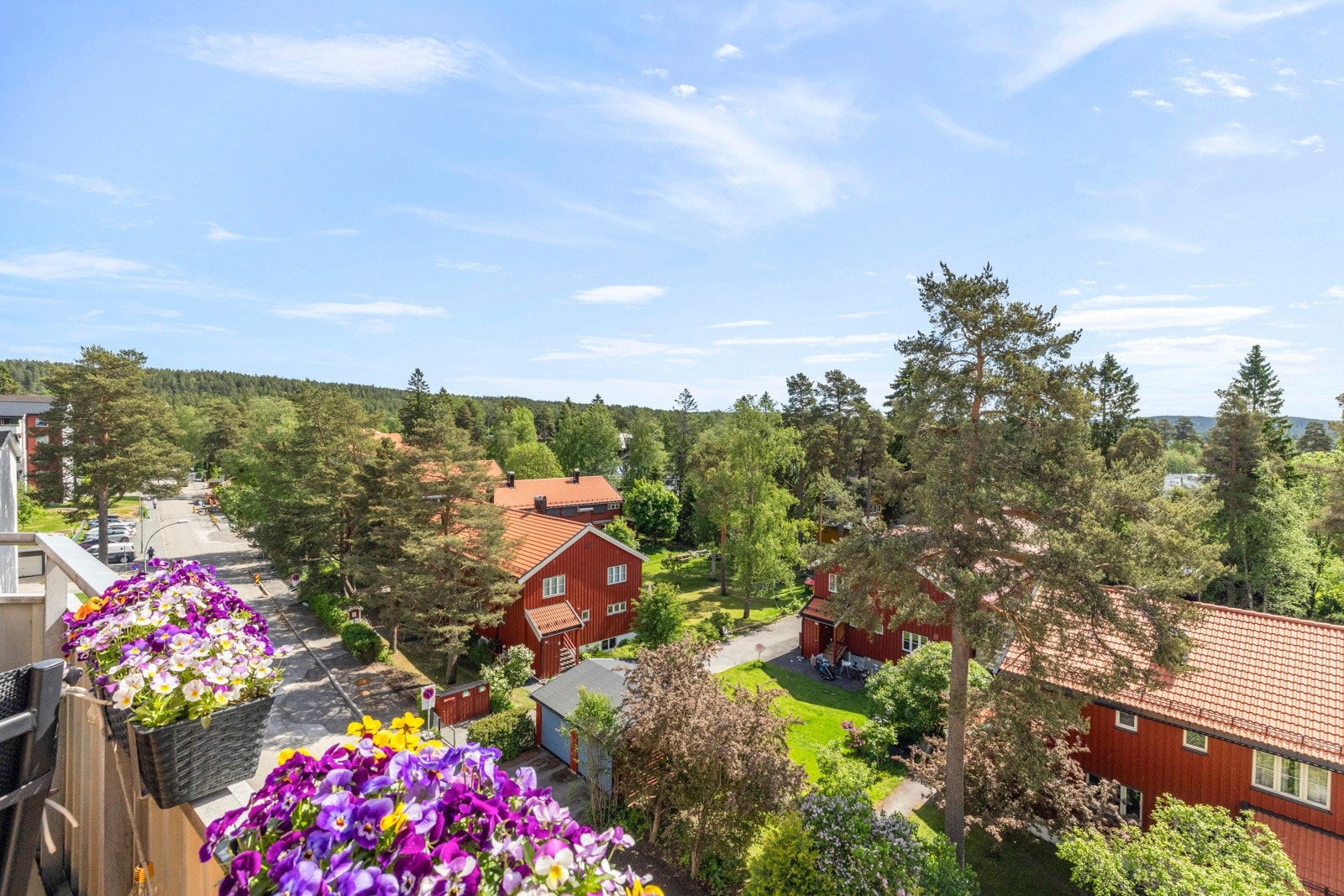 Nydelig, naturpreget utsikt Galleribilde