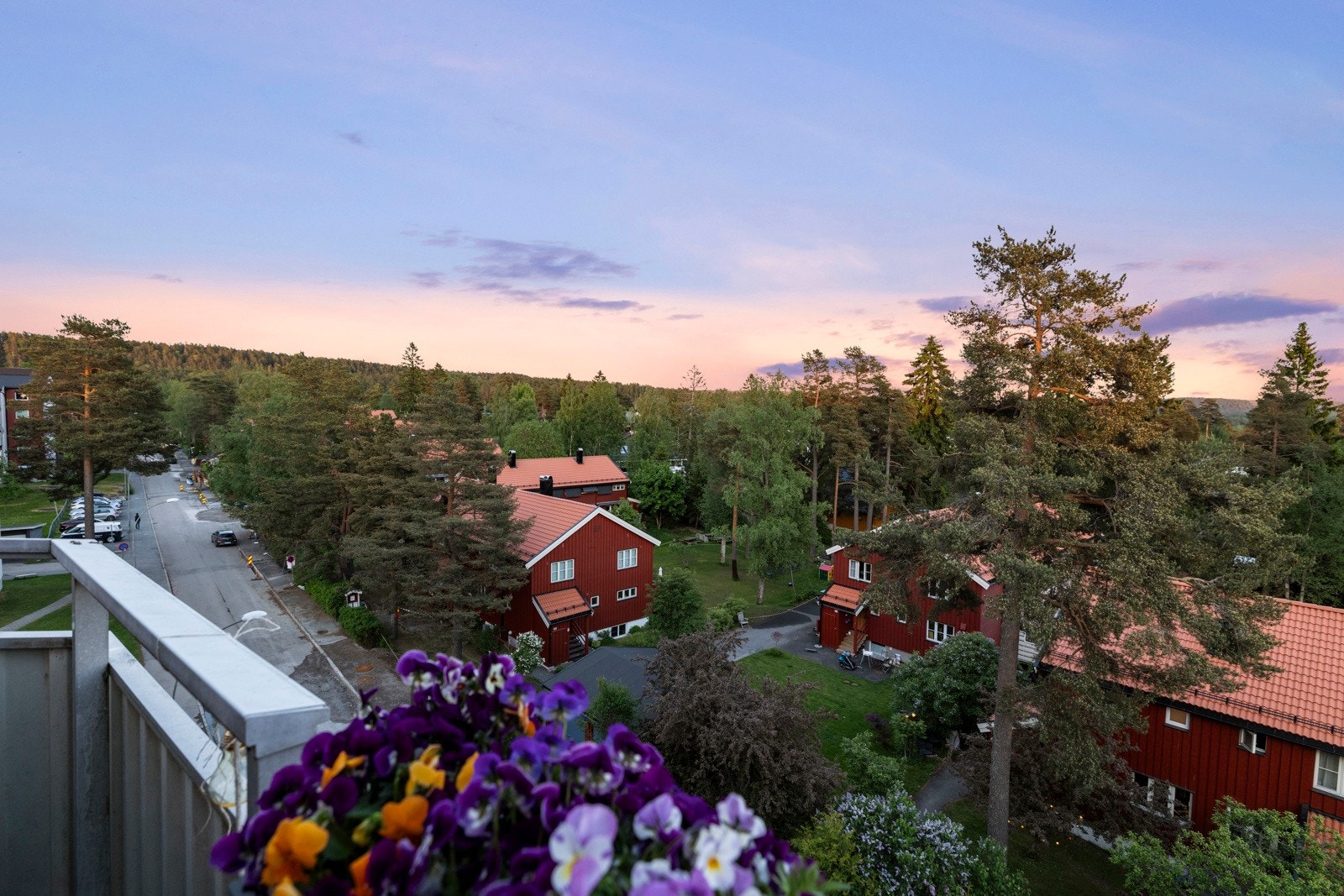 Utsikt kveld Galleribilde