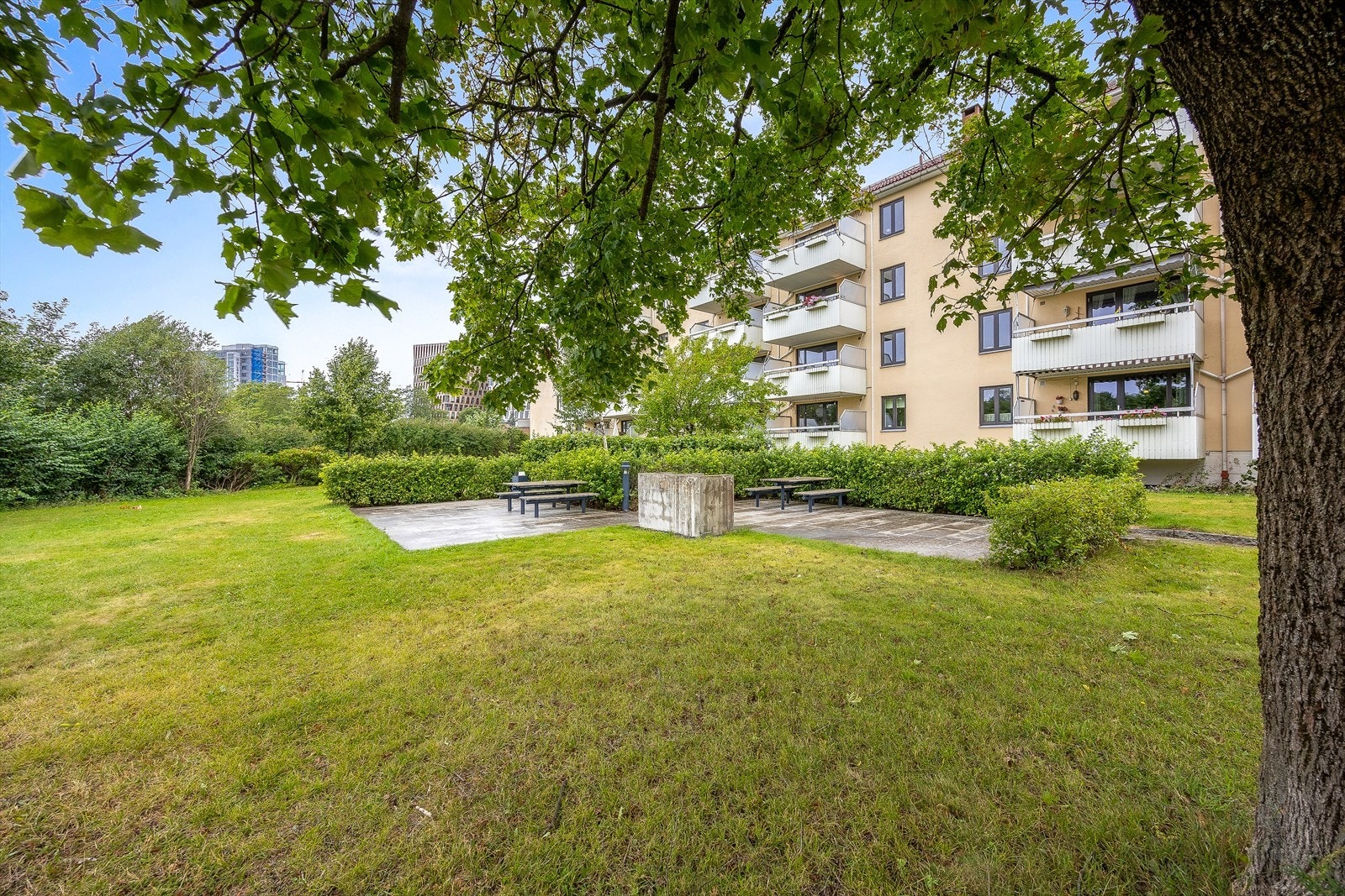 Felles hageområde byr på grønne omgivelser og mulighet for hyggelige sammenkomster. Galleribilde