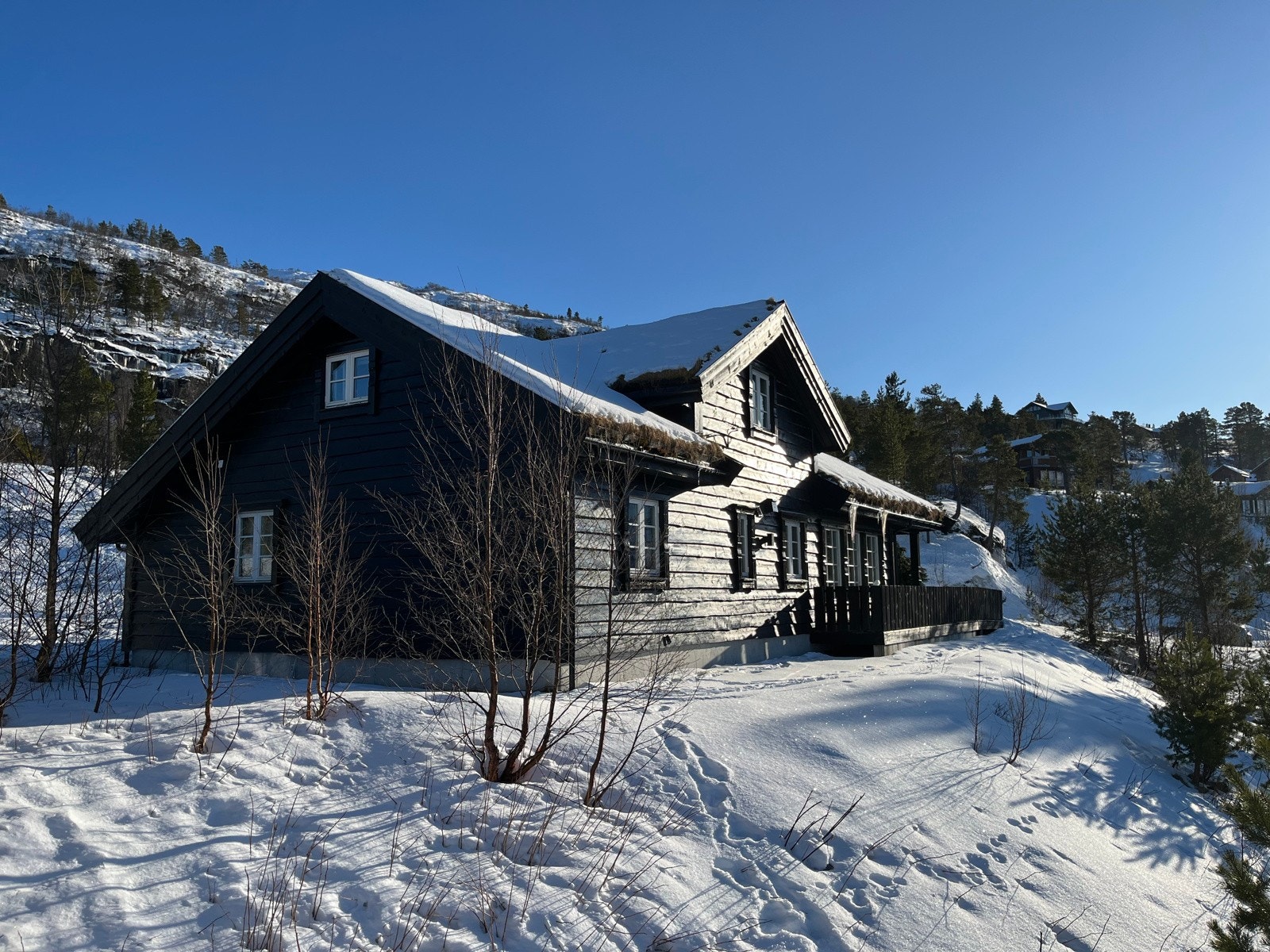 Helårshytte - like fint på sommer som på vinter. Galleribilde