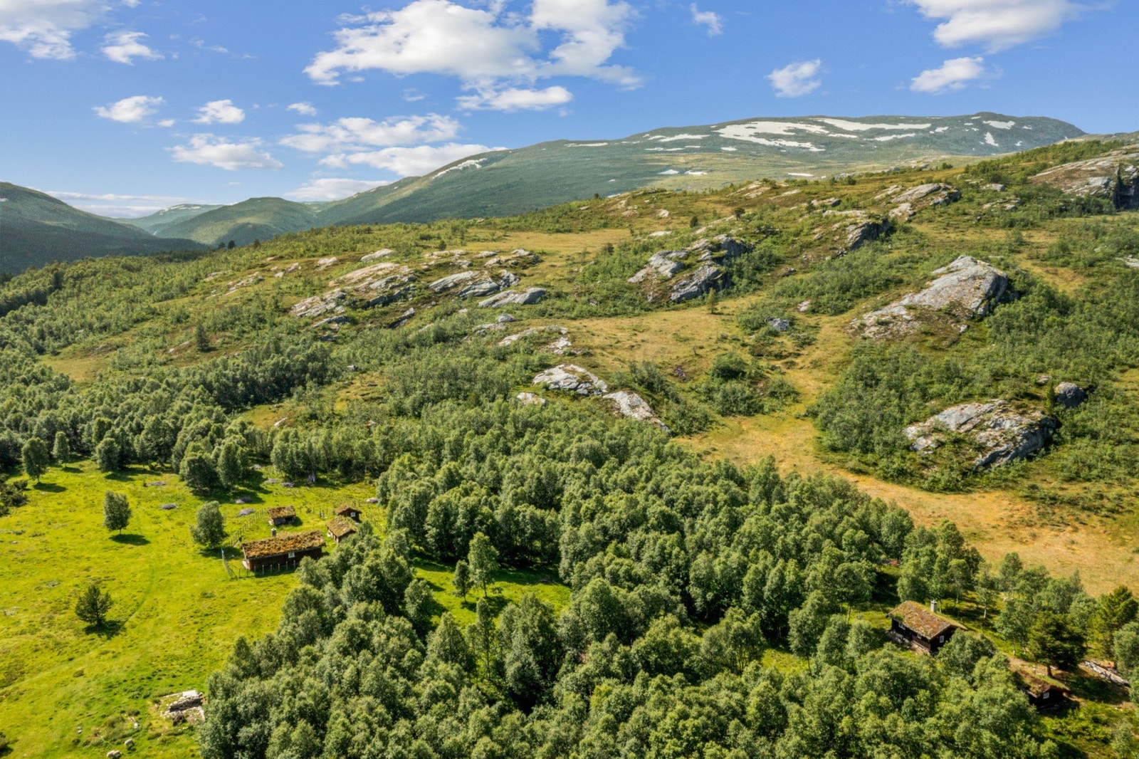 Selveiertomt utskilt fra Vammervoldsetra Galleribilde