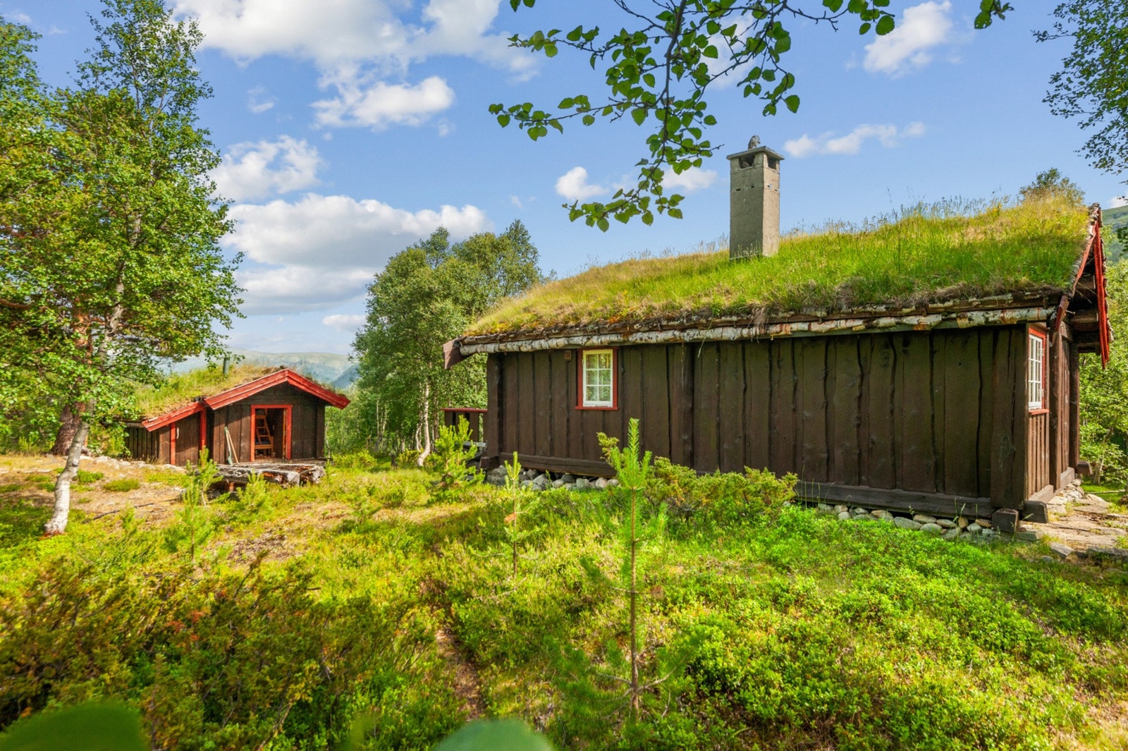 Vinteradkomst mulig med scooter etter søknad (inntil 3 turer pr. vinter) Galleribilde