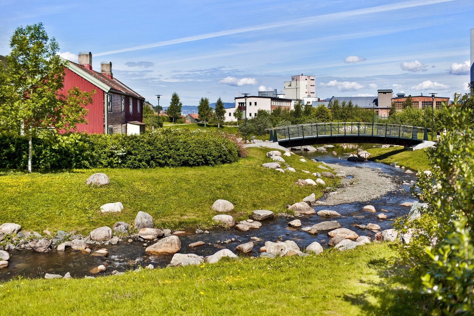 Man bor kun et steinkast unna skog, sjø og flotte friområder. Her Iladalsparken som ligger like utenfor. Galleribilde