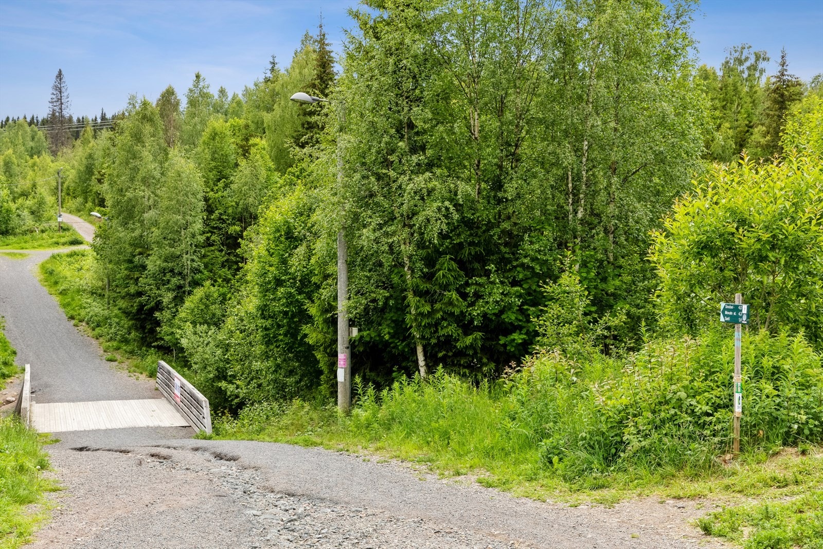 Flotte turmuligheter i nærområdet, enten om du vil gå, sykle eller gå på ski. Galleribilde