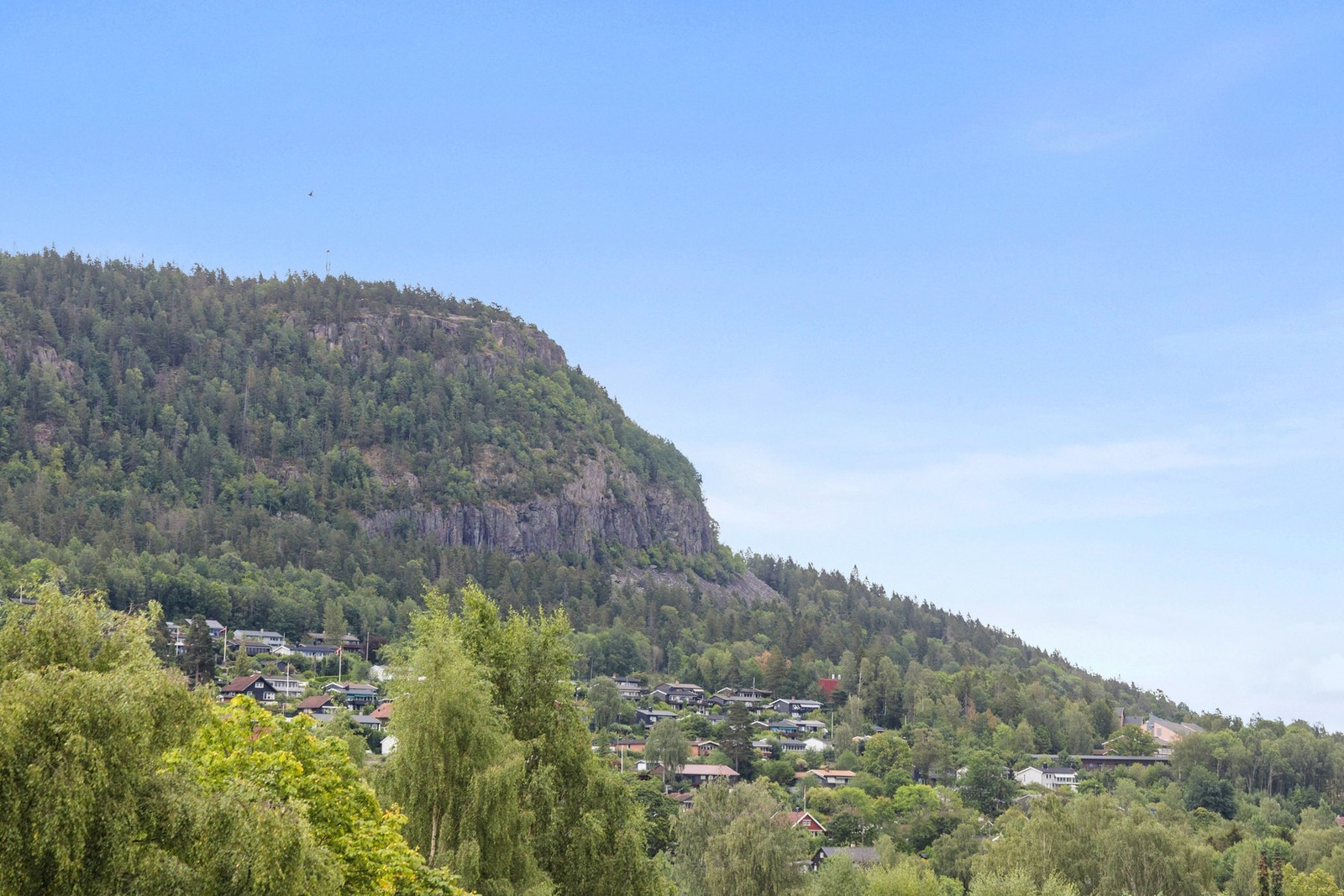 Utsiktsbildet. Galleribilde