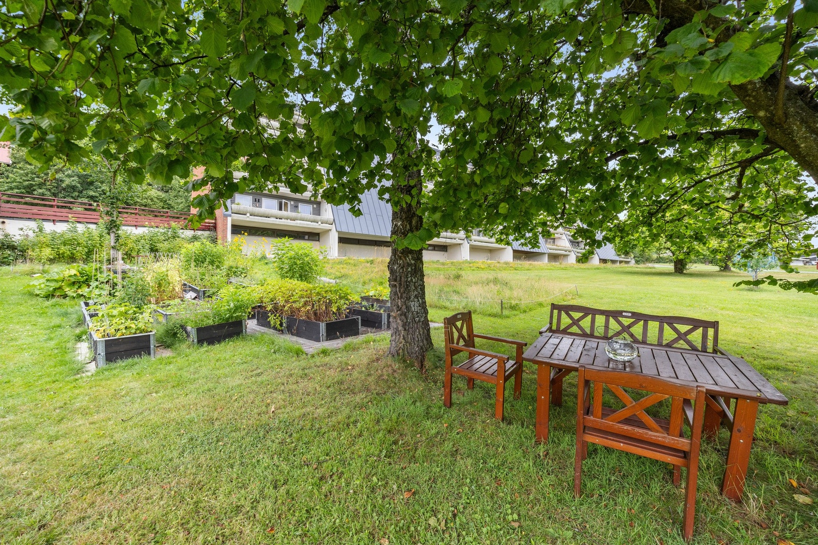 Koselige fellesområder Galleribilde