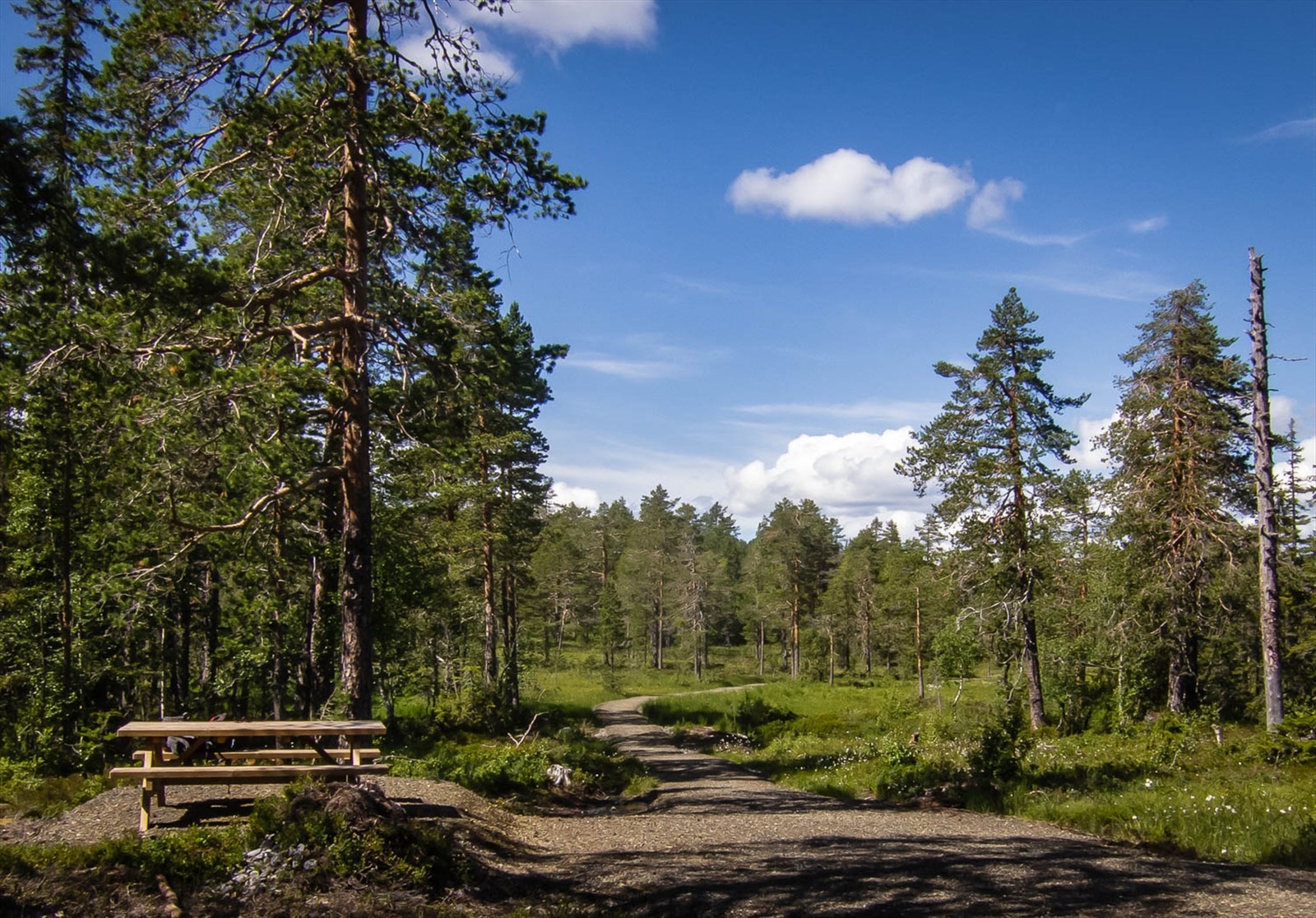 Fra Blefjell til Fagerfjell finner du en flott sykkelvei for hele familien med flere rasteplasser og bålgroper. Foto: blefjellturer.blogspot.com Galleribilde