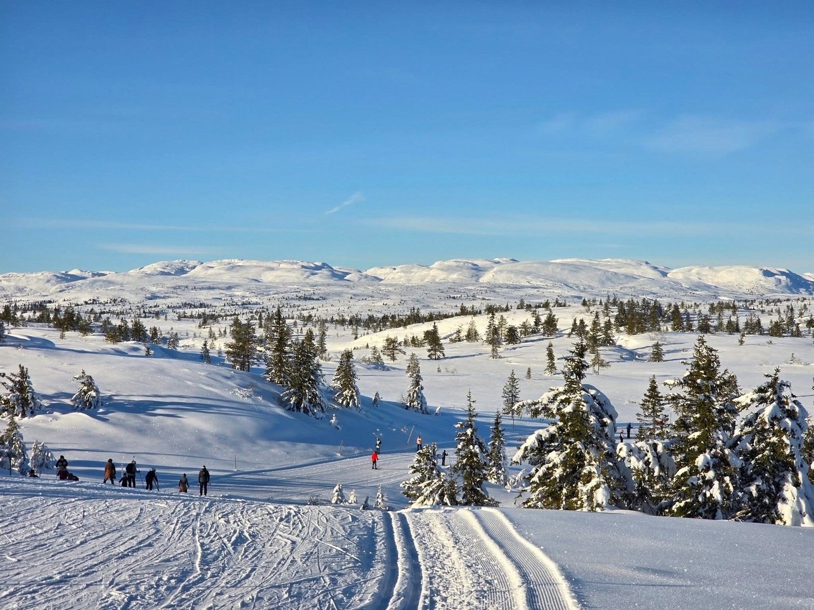 Prima forhold Galleribilde