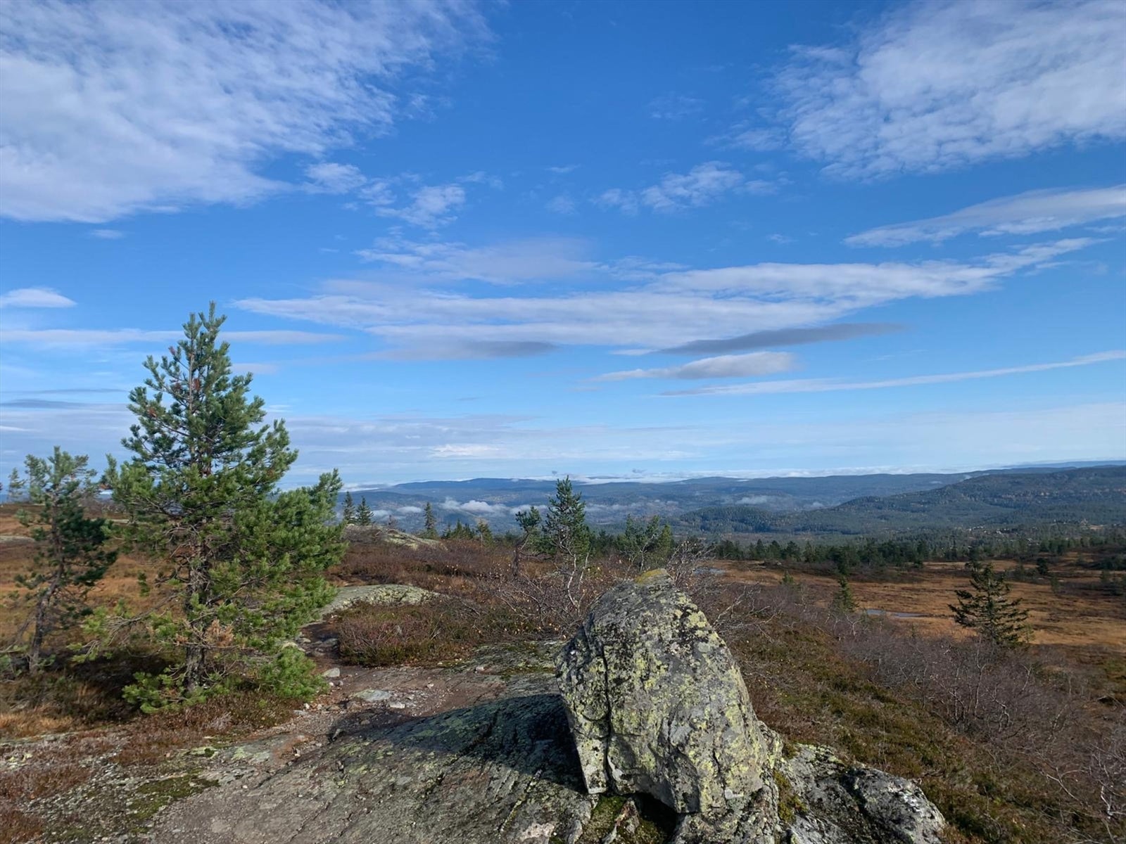 Kort vei til nydelig turlandskap på fjellet Galleribilde