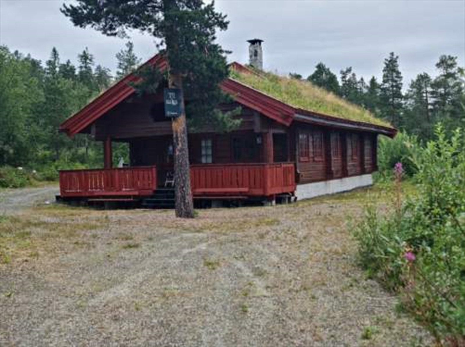 Fasade sommer Galleribilde