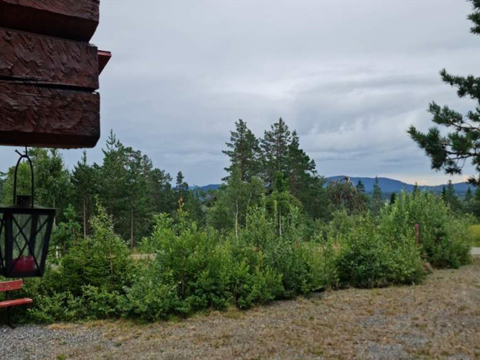 Utsikt/gårdsplass, sommer Galleribilde