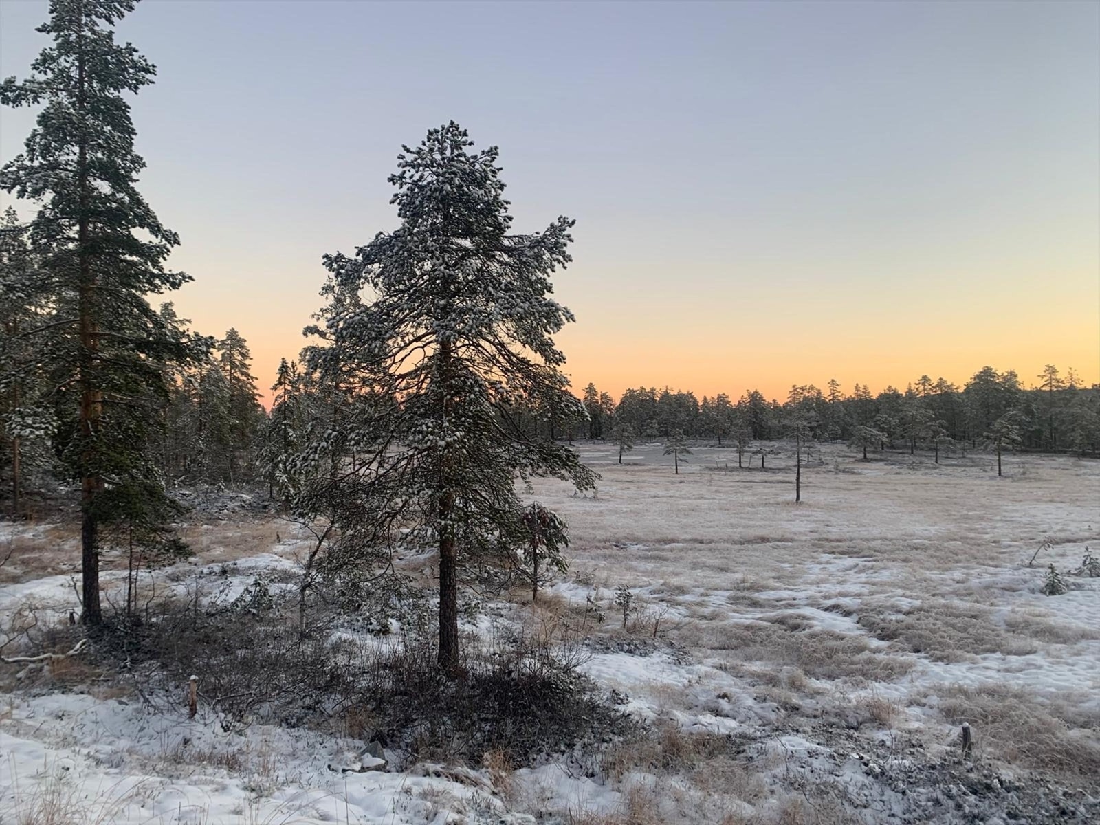 Morgenstemning på Ble Galleribilde