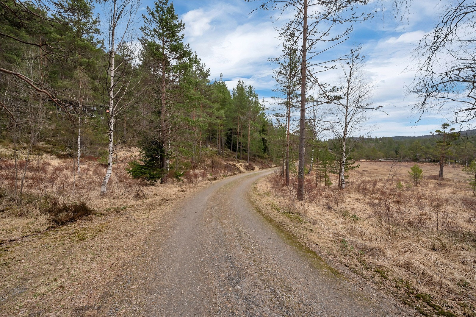 Grus sti fra innkjørsel til hytta Galleribilde
