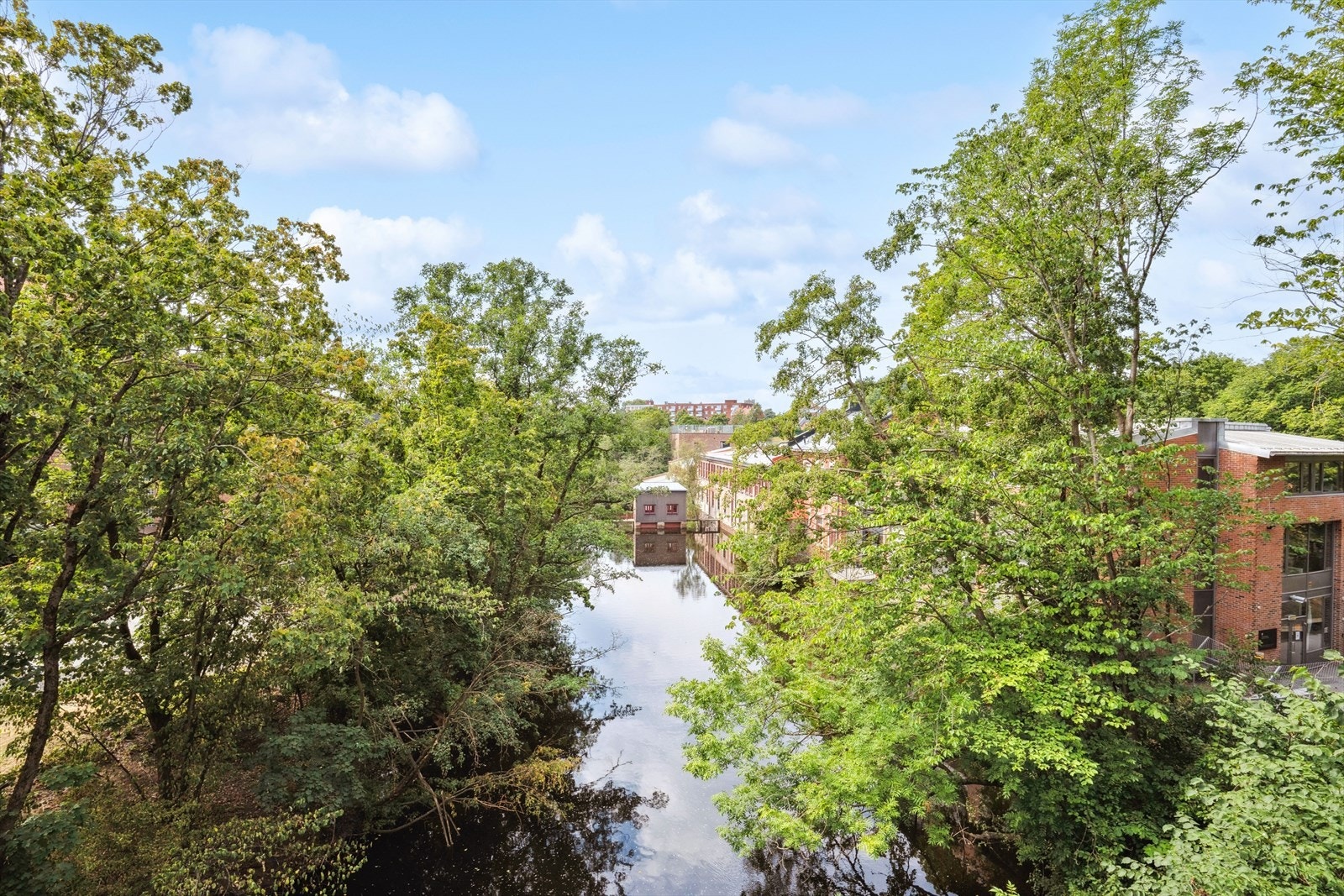 Akerselva i umiddelbar nærhet fra leiligheten Galleribilde