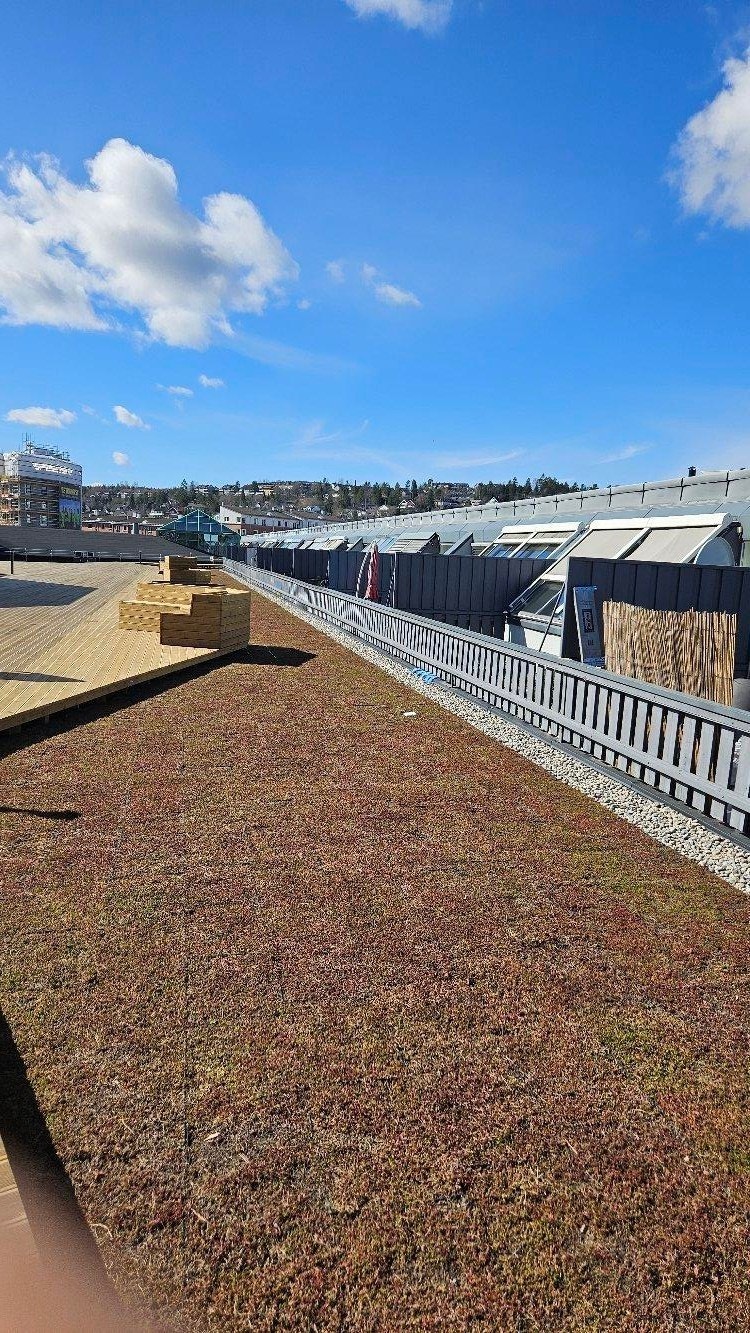 Felles takterrasse Galleribilde
