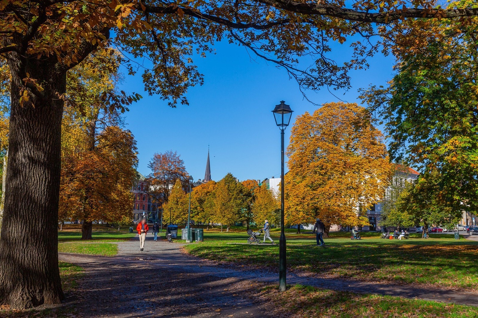 Flotte parker finnes også rett i nærheten, bl.a. Birkelunden og Sofienbergparken. Galleribilde