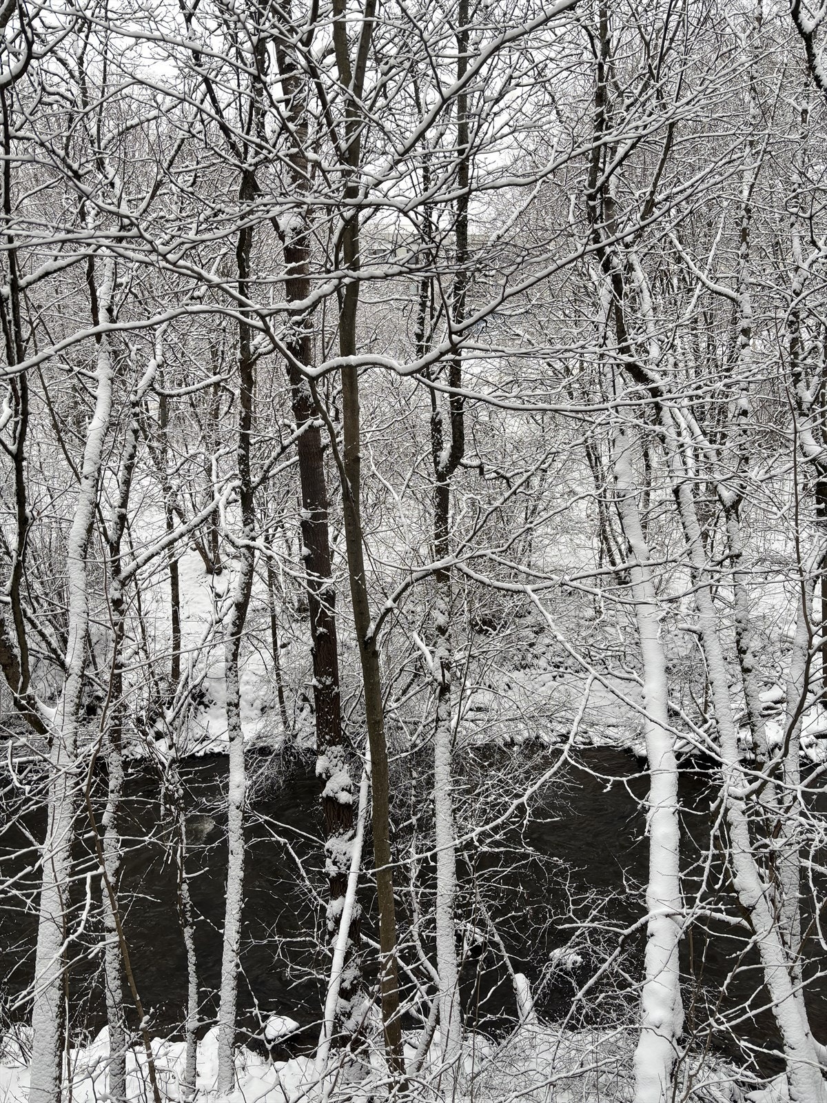 Utsyn fra spisestuen vinterstid. Galleribilde