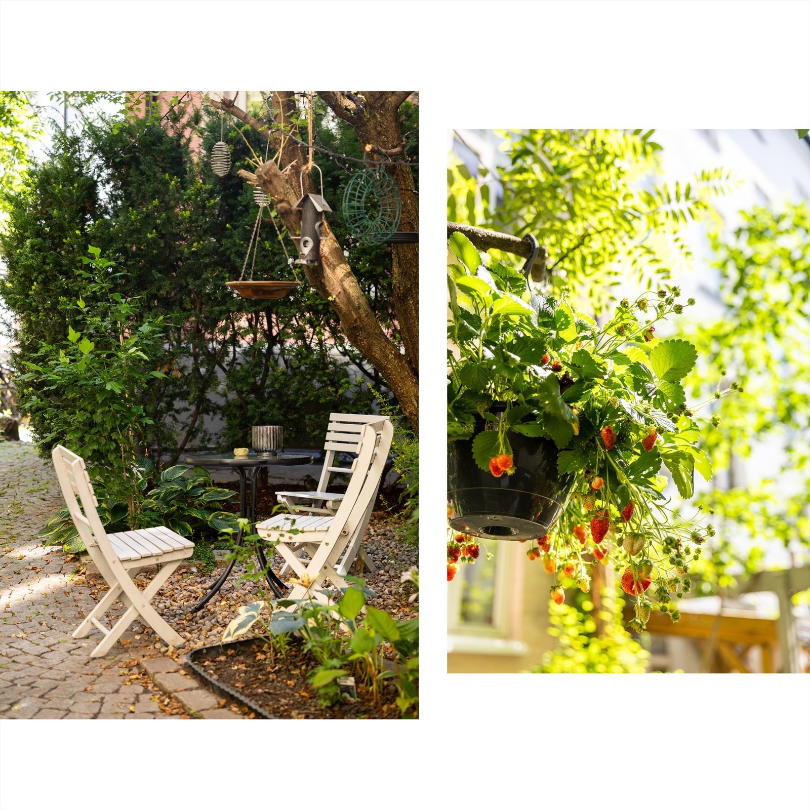 Idyllisk bakgård Galleribilde