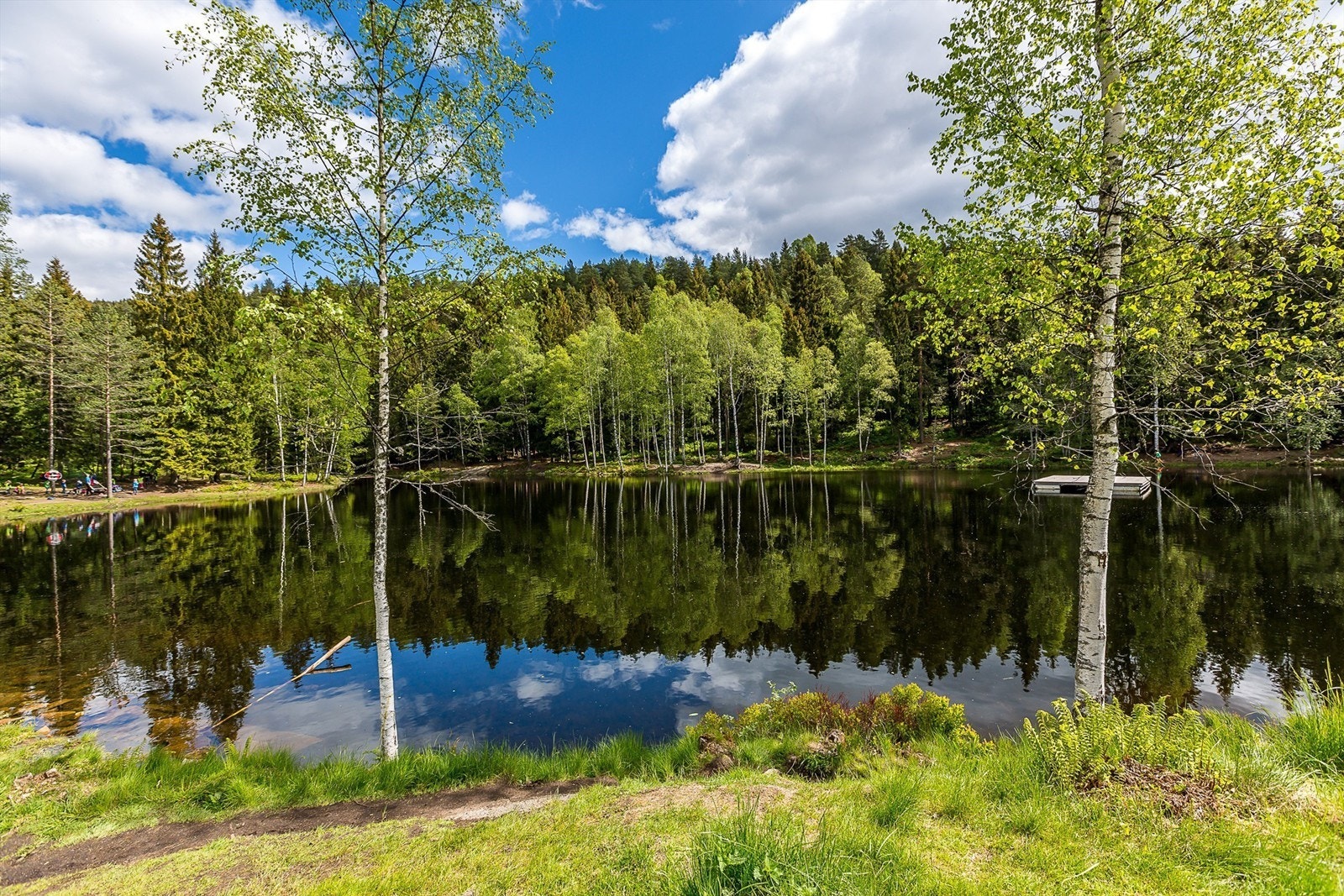 Isdammen ligger ca. 5 min unna Galleribilde