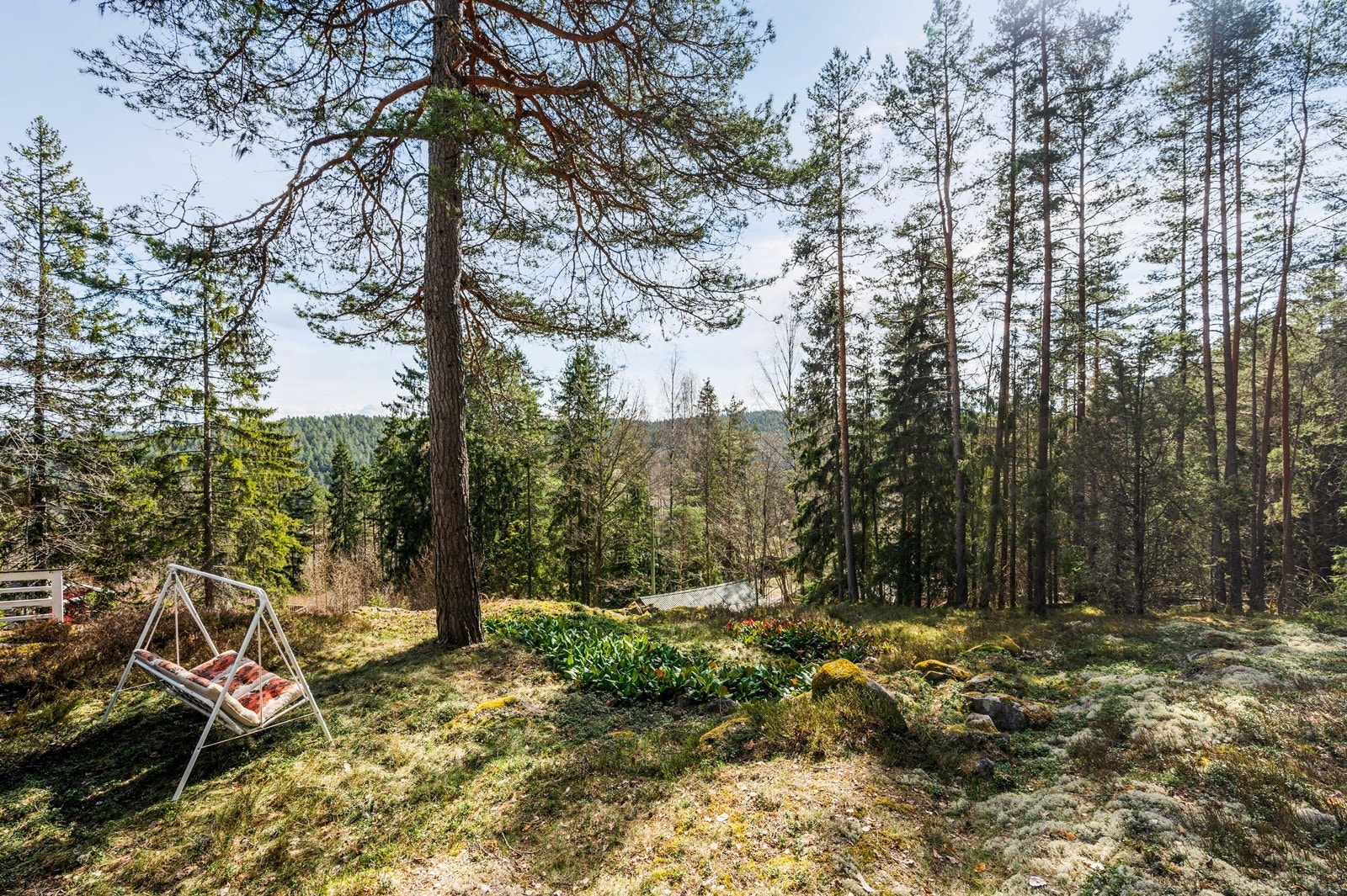 Stille og rolig i naturskjønne omgivelser. Galleribilde