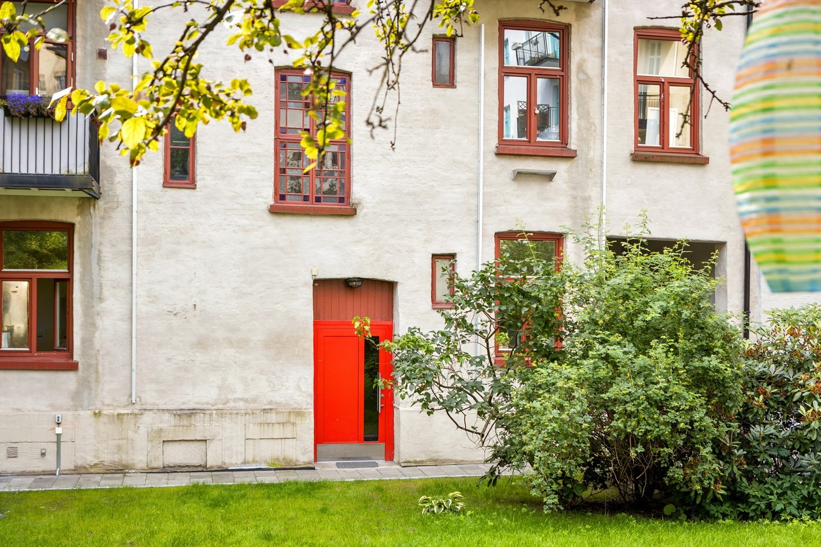 Solfylt og frodig felles bakgård om sommeren. Galleribilde