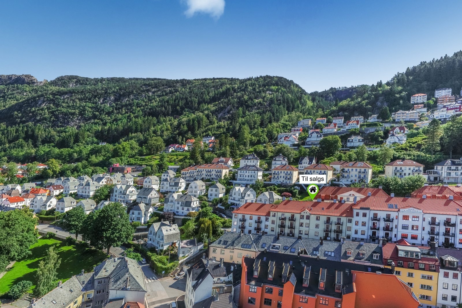 Bilde av nærområdet. Galleribilde