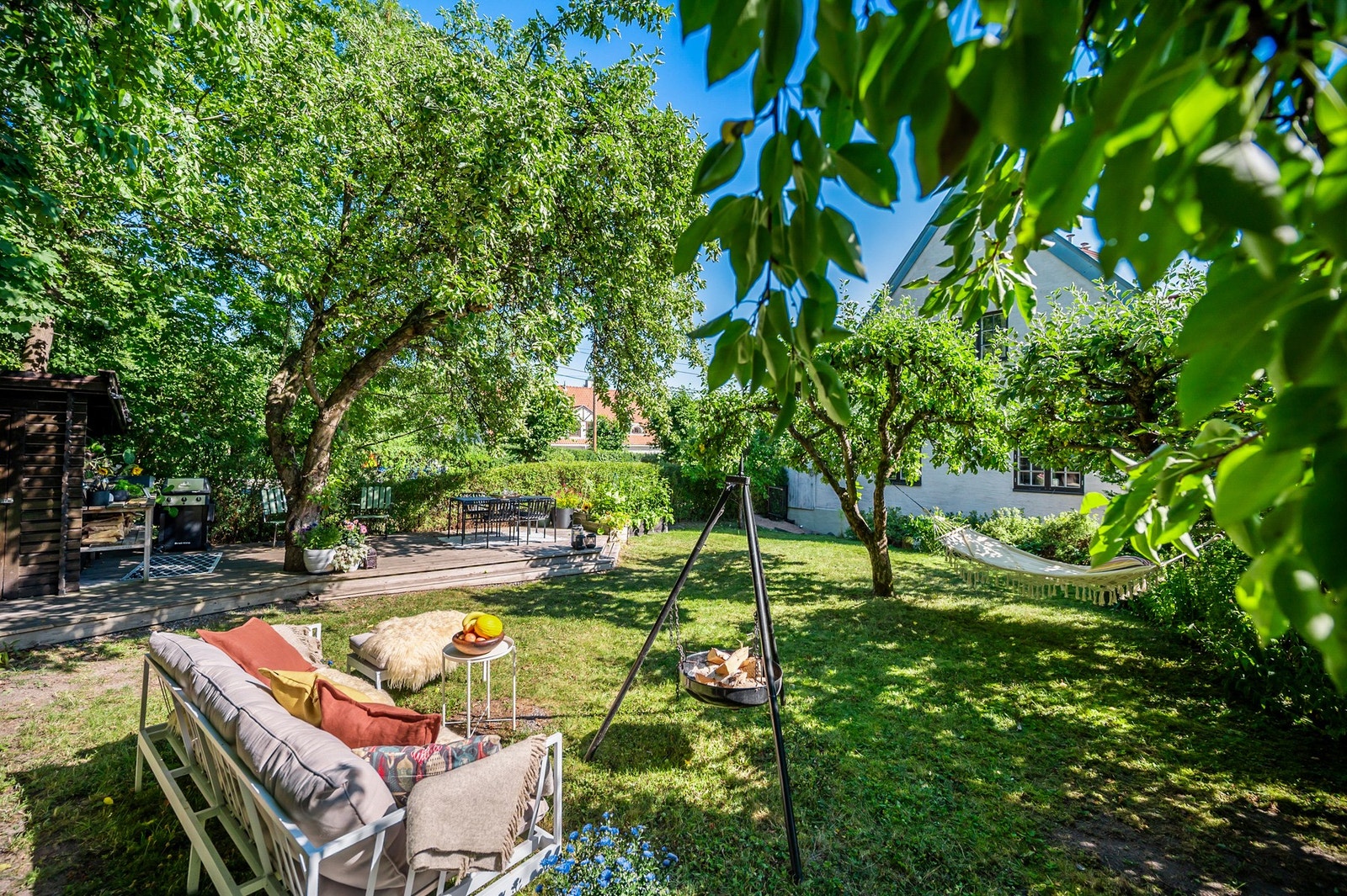 En frodig og usjenert hageidyll med gamle frukttrær. Galleribilde