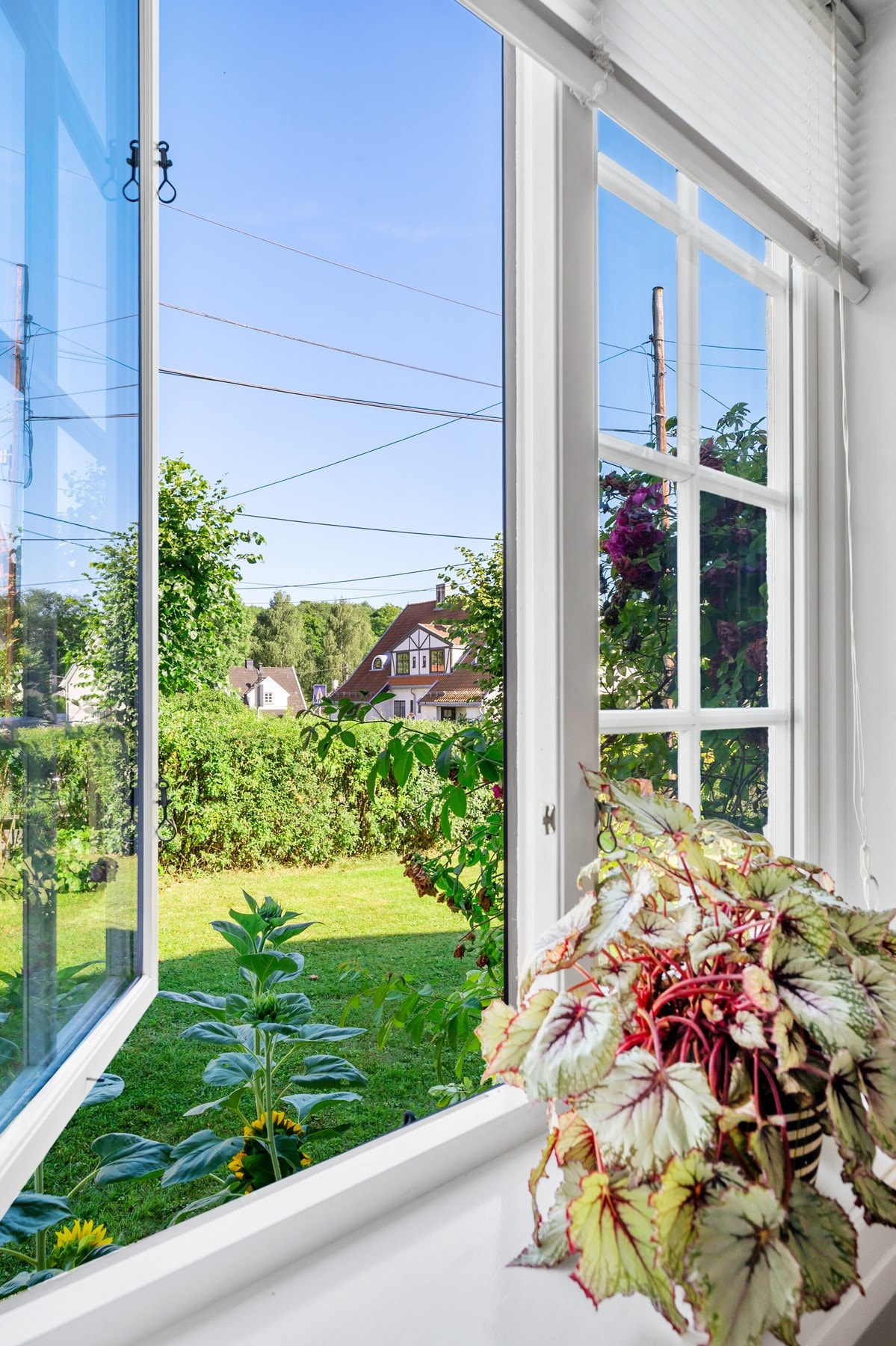 En ramme av ro og grønne omgivelser. Galleribilde