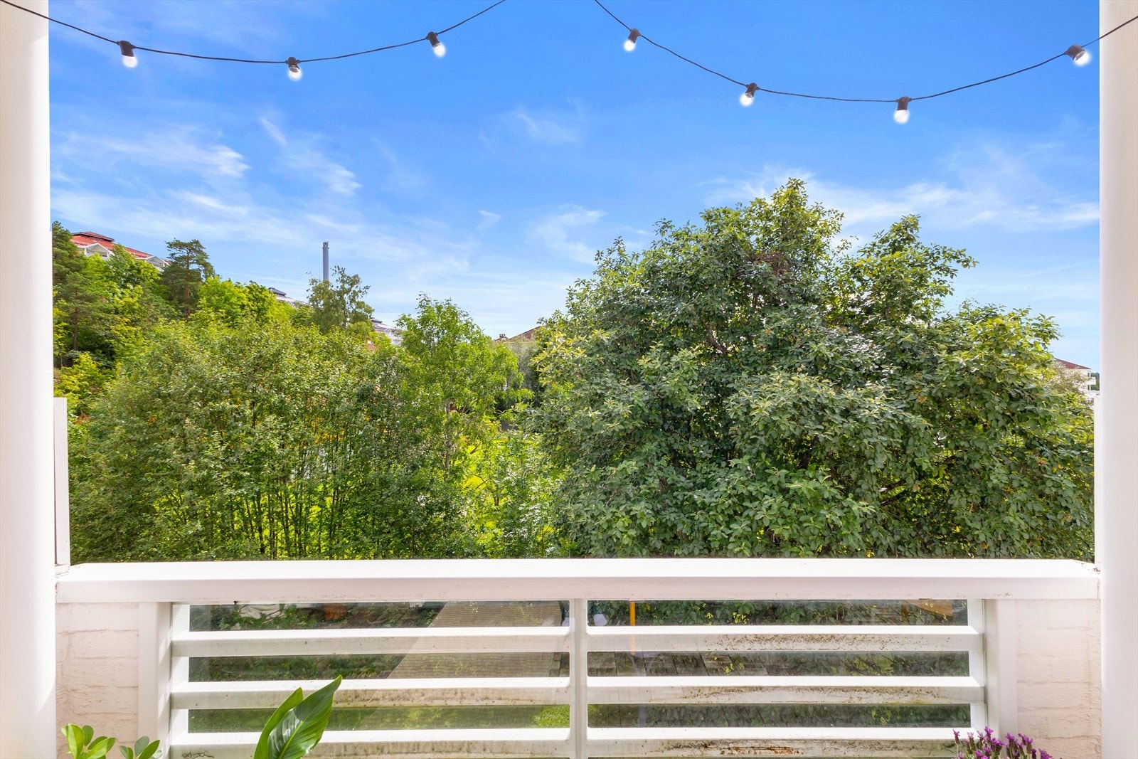 - Hyggelig utsyn, svært lite innsyn - Galleribilde