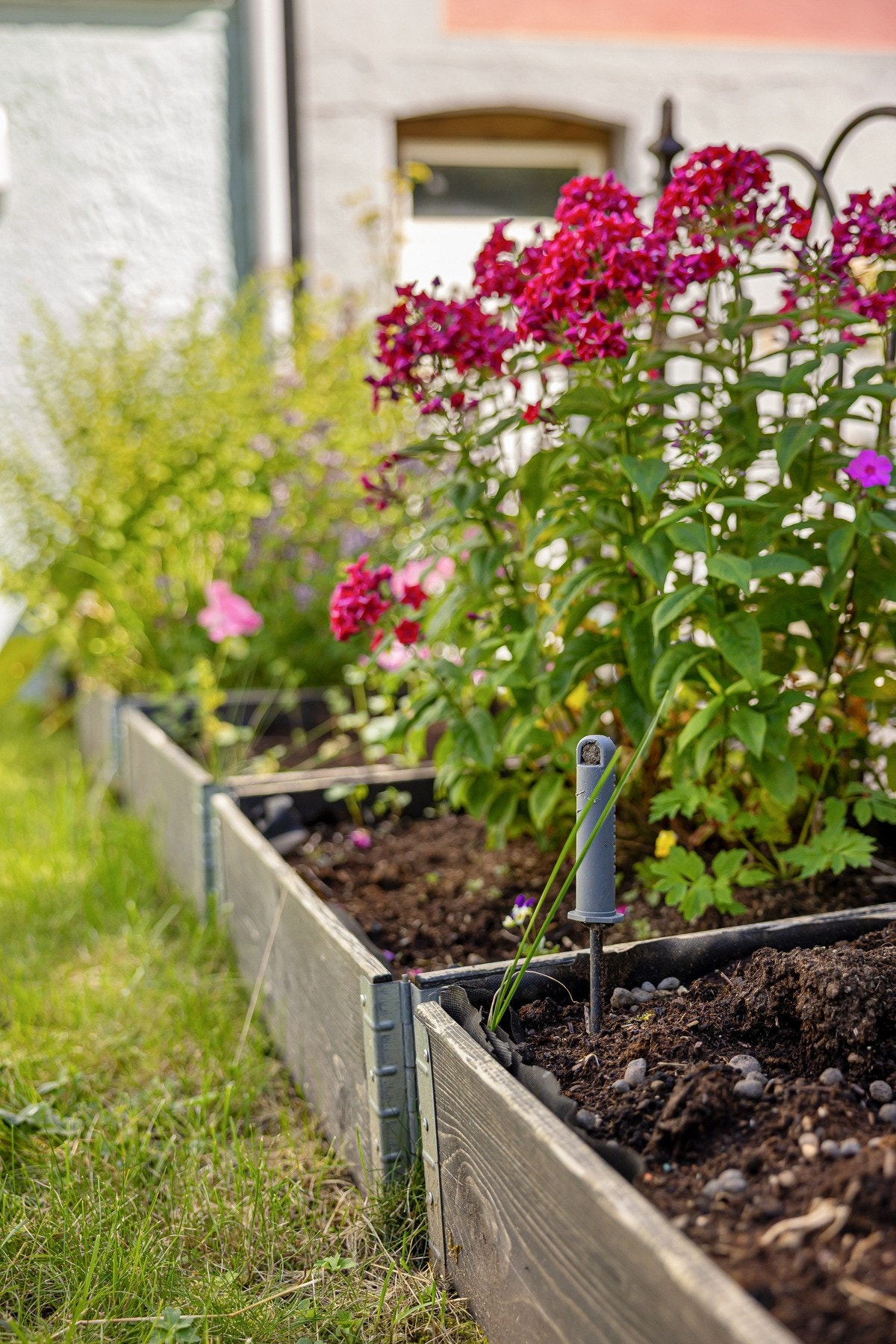 Nydelig beplantning. Galleribilde