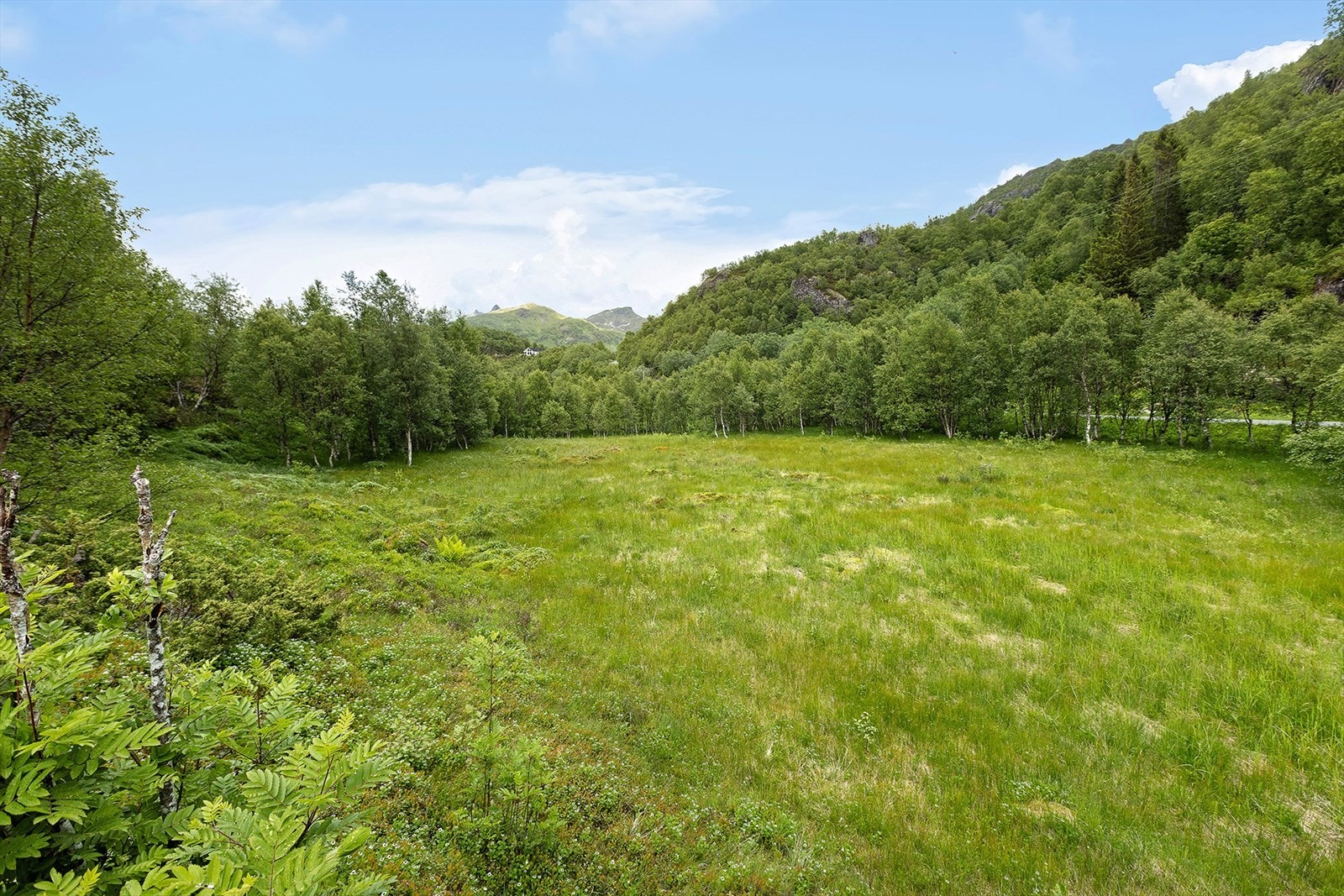 Stor tomt på over 20 dekar Galleribilde