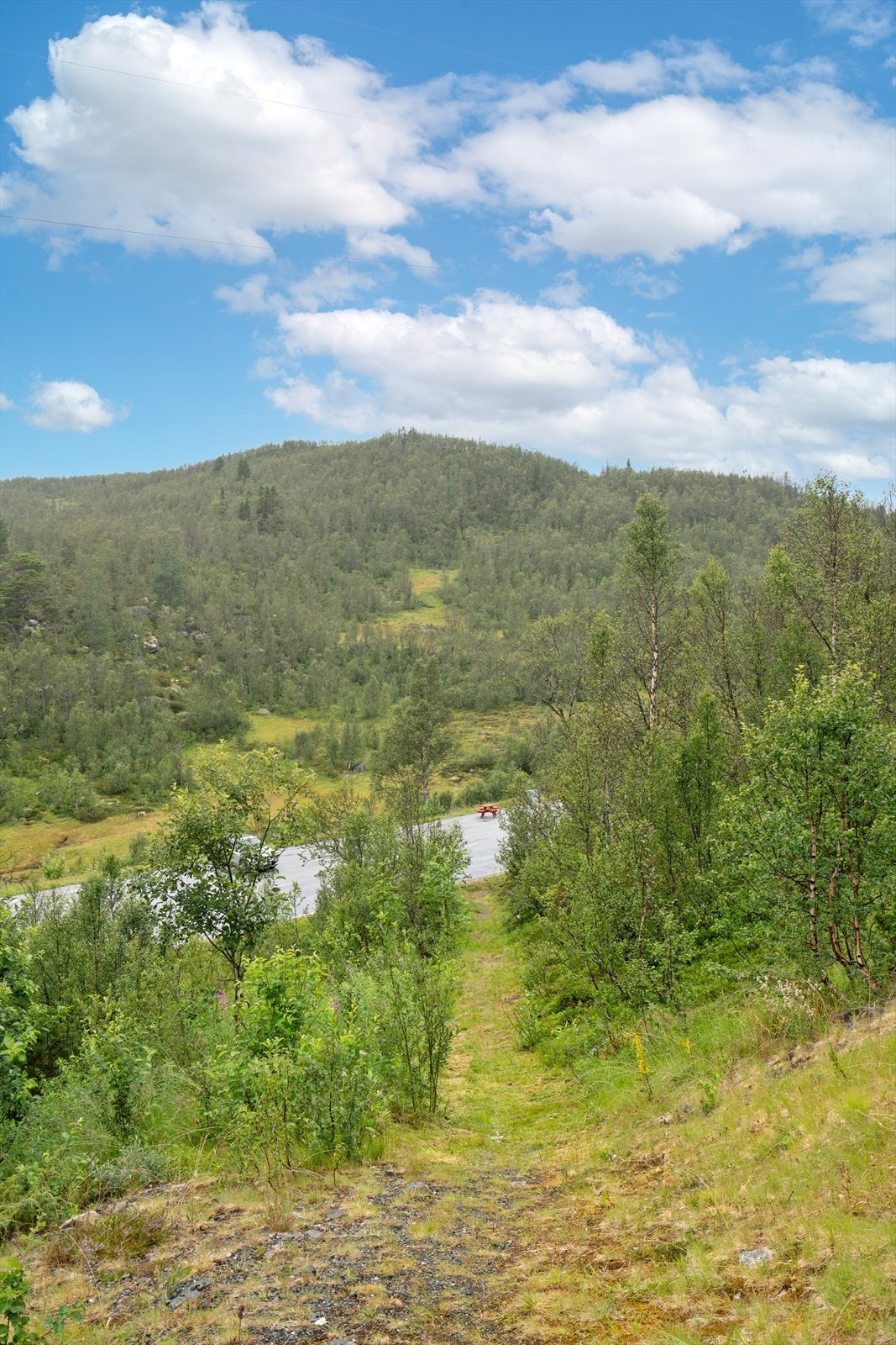 Sti ned til veien Galleribilde