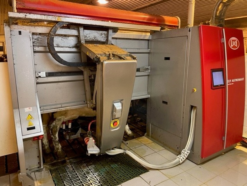 Melkerobot Galleribilde