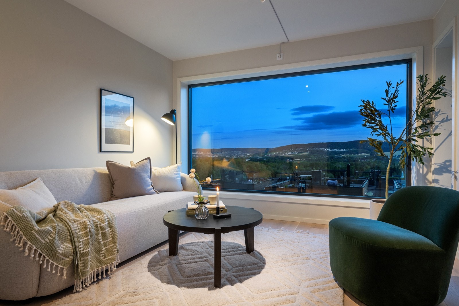 Utsikt fra stue. Galleribilde