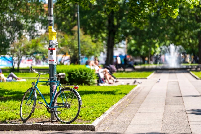 Nærområde Galleribilde