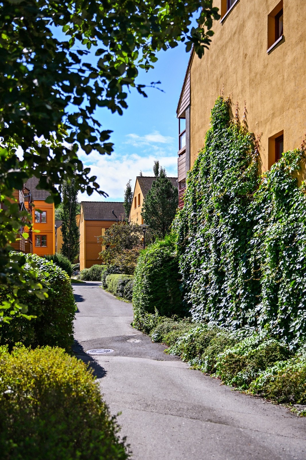 Borettslaget består av tre idylliske tun, som alle er innrammet av vakre grøntområder Galleribilde