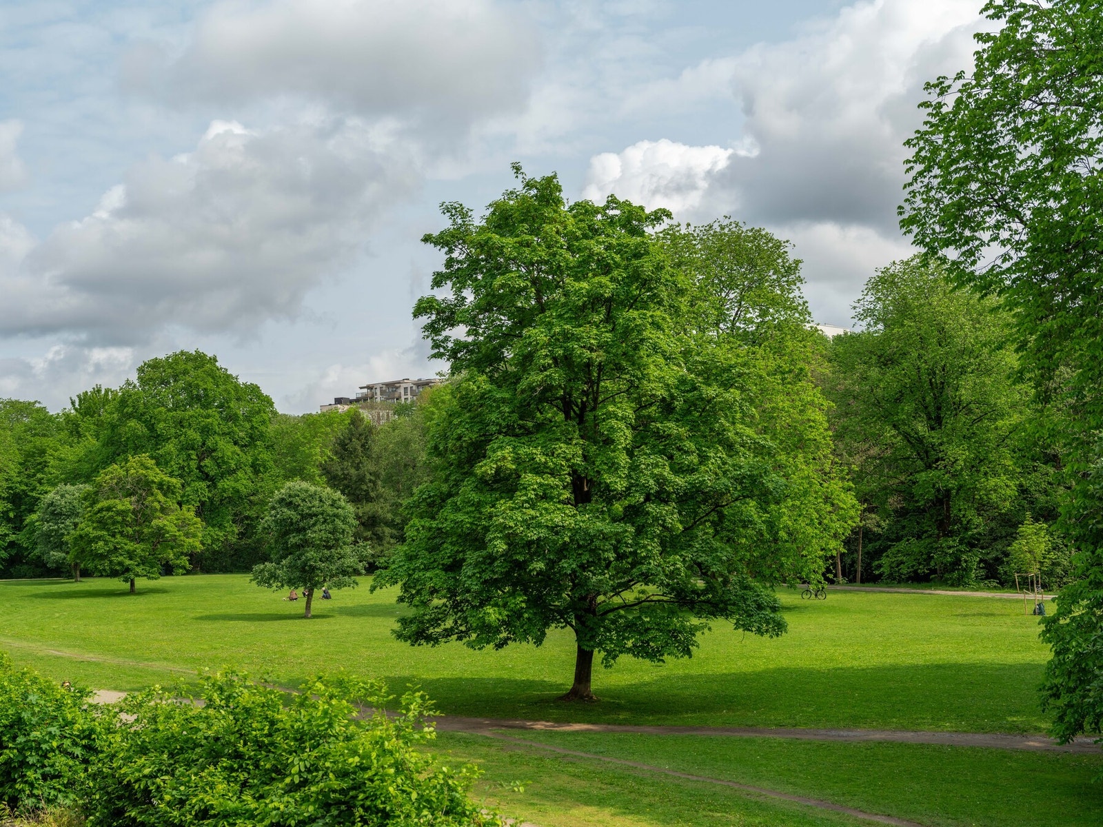 Og denne fine parken! Galleribilde