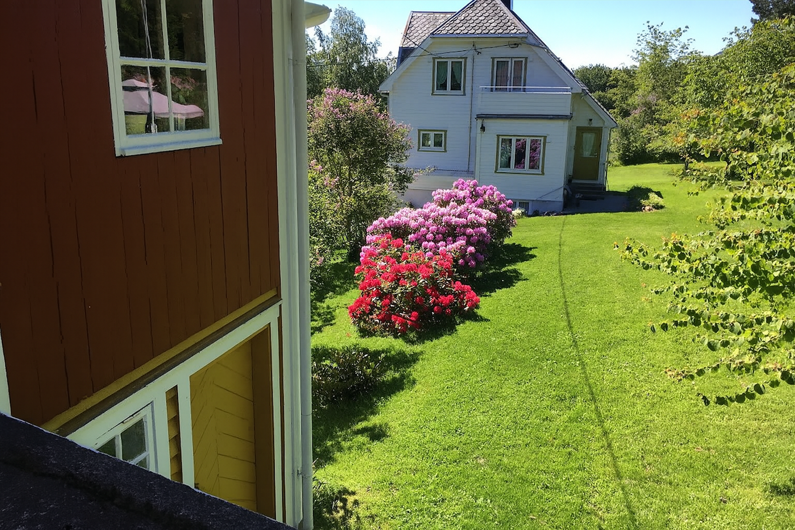 Fasade og hage mellom bolighuset og låven med flott rhododendron i blomstring - bilde tatt av selger Galleribilde