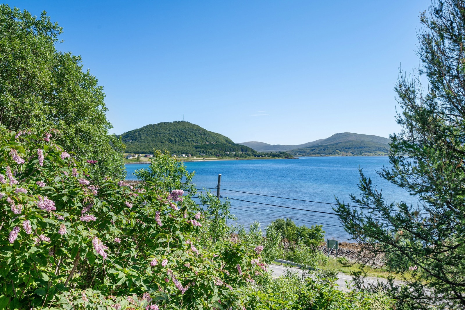 Utsikt ut over havet Galleribilde