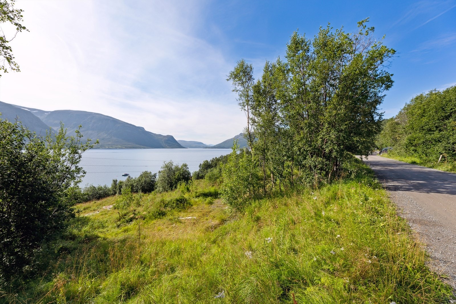 Foto fra august 2022 Galleribilde