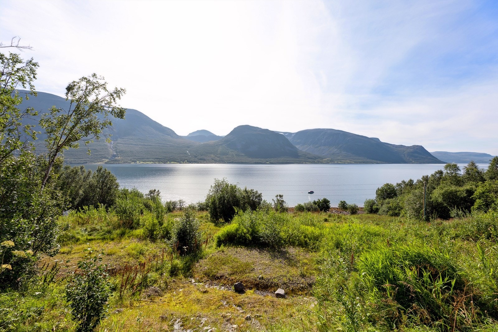 Foto fra august 2022 Galleribilde