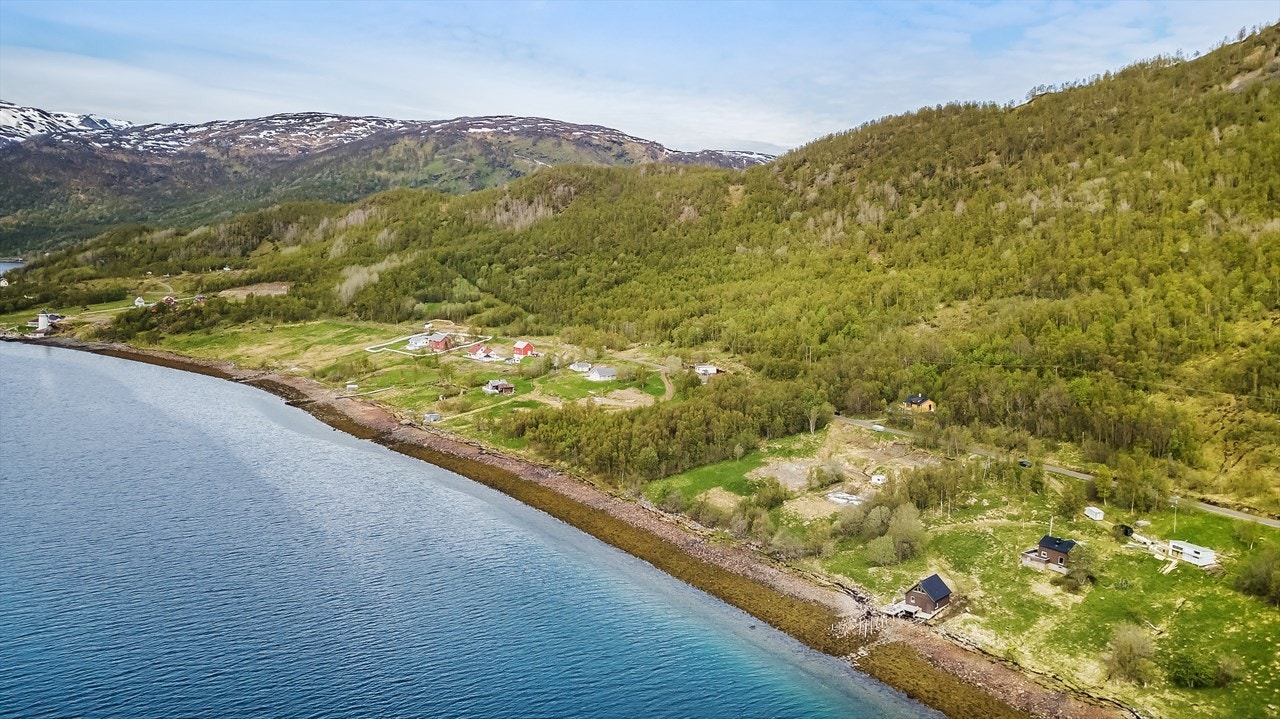 Arkivfoto Galleribilde