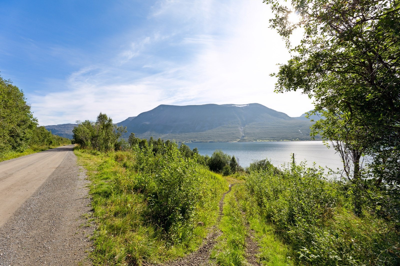 Foto fra august 2022 Galleribilde