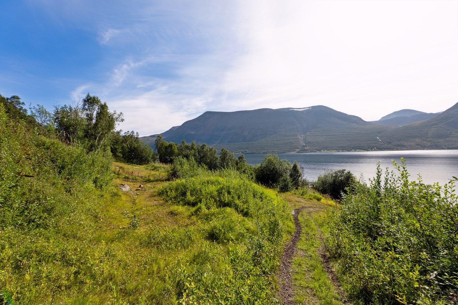 Foto fra august 2022 Galleribilde