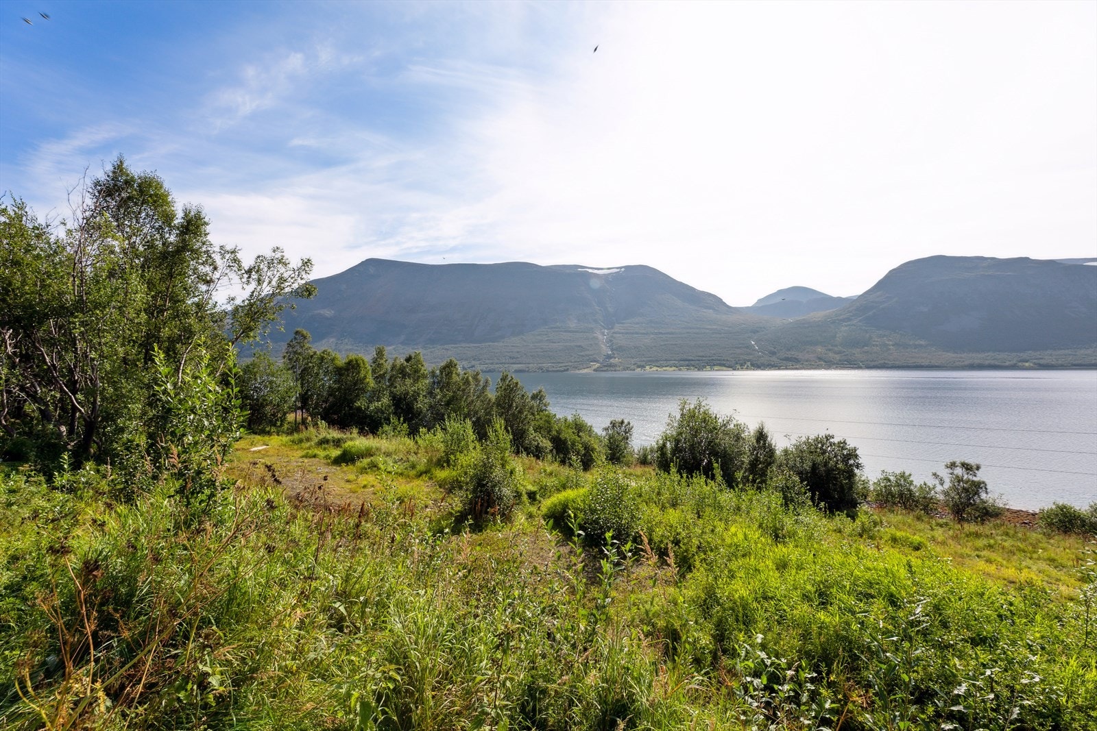 Foto fra august 2022 Galleribilde