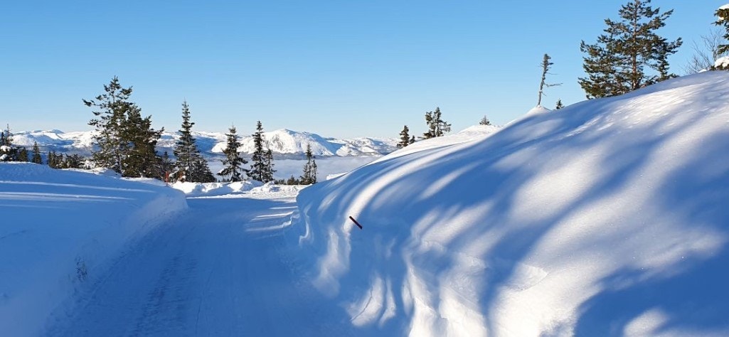-Selgers private bilde- Med skiløyper rett i nærheten kan man spenne på seg skiene ved hytteveggen, og det er heller ikke langt til skitrekket. Galleribilde