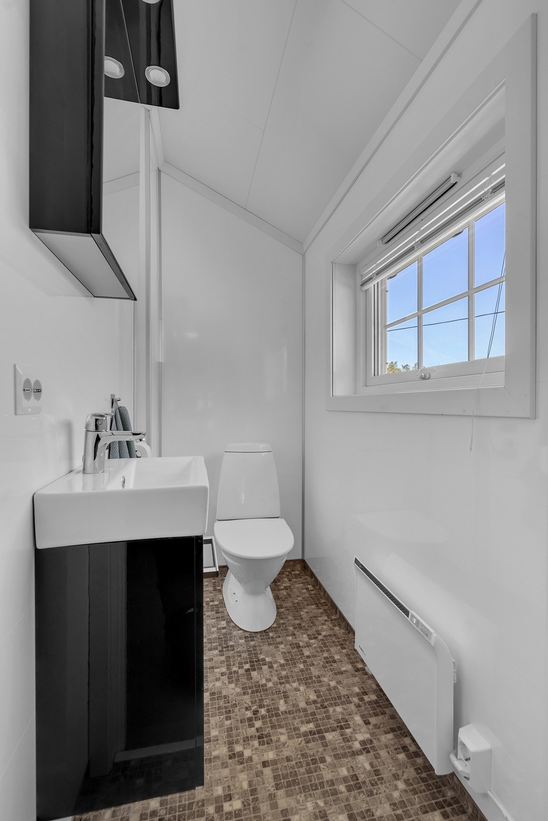 Toalett rom Galleribilde